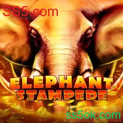 ElephantStampede